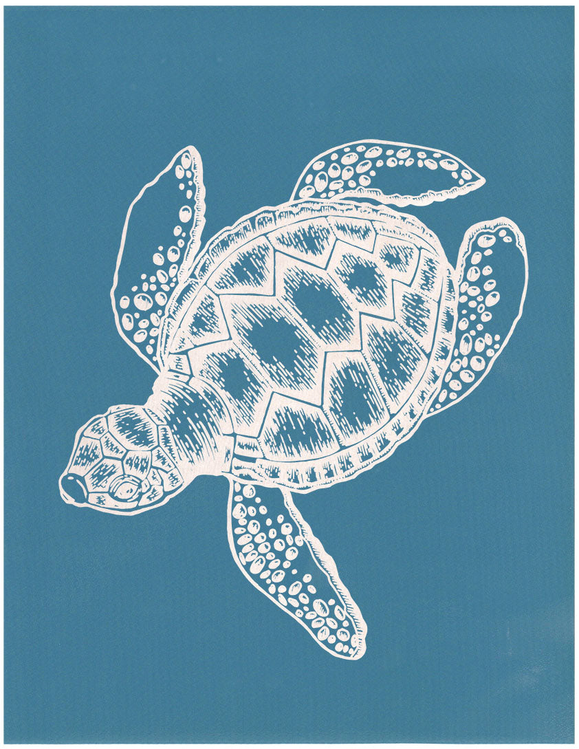 Baby Sea Turtle, Various Sizes