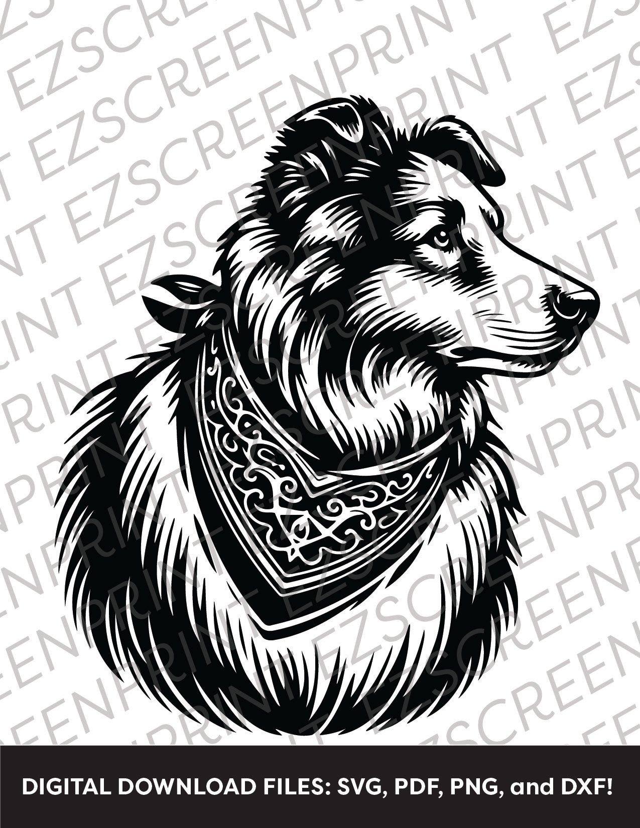 Border Collie 2, Various Sizes + Digital Download