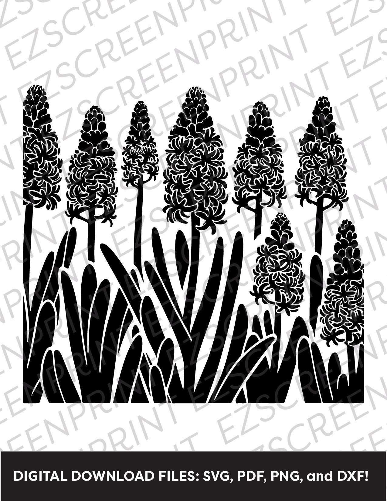Hyacinths, Various Sizes + Digital Download