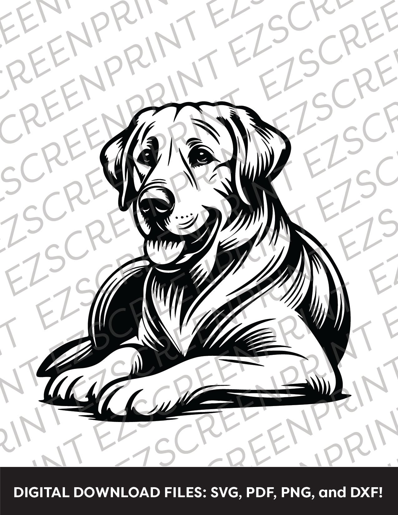 Labrador Retriever Laying Down, Various Sizes + Digital Download