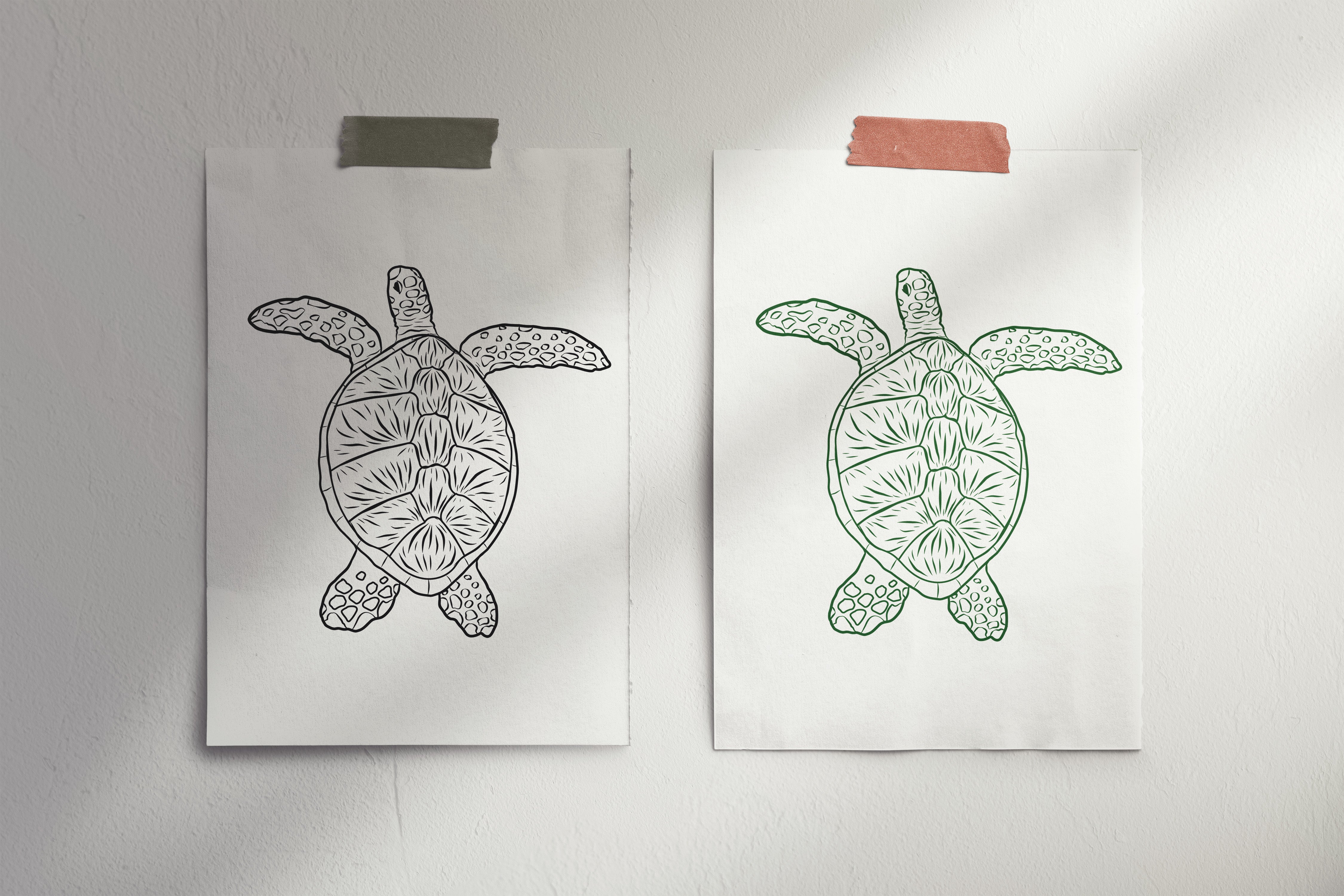 Sea Turtle Line Art, Various Sizes + Digital Download