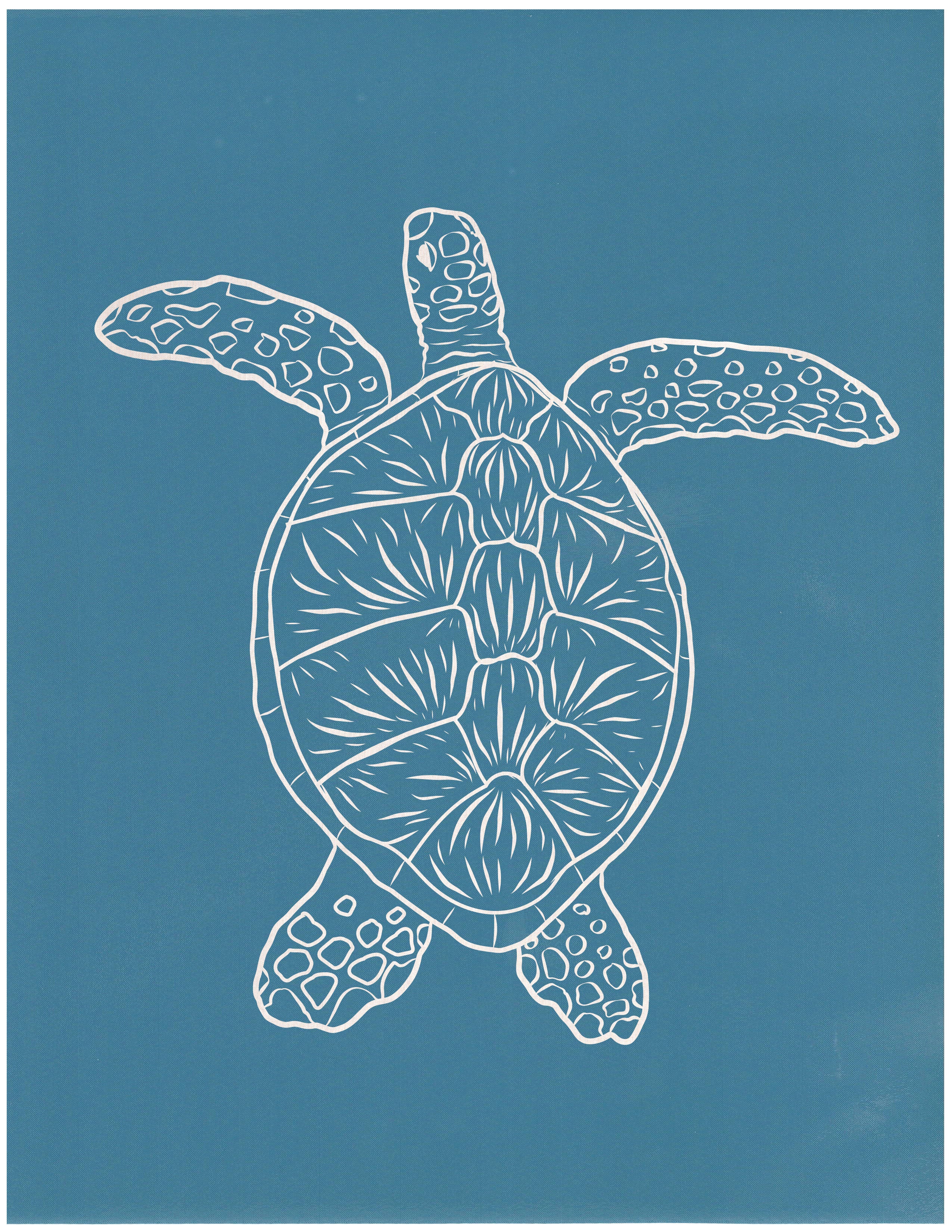 Sea Turtle Line Art, Various Sizes + Digital Download