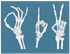 Skeleton Hand Signs (OK, Peace, #1), Various Sizes