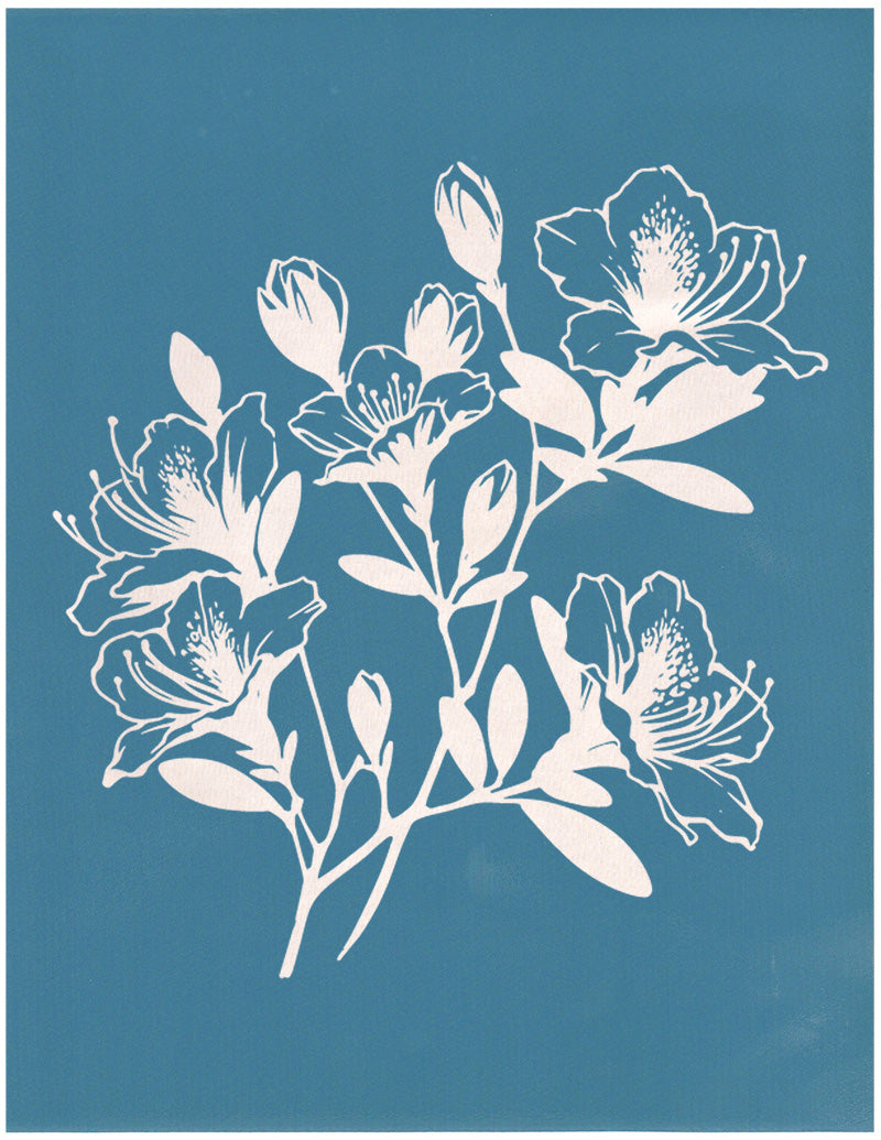Azalea Flowers, Various Sizes + Digital Download