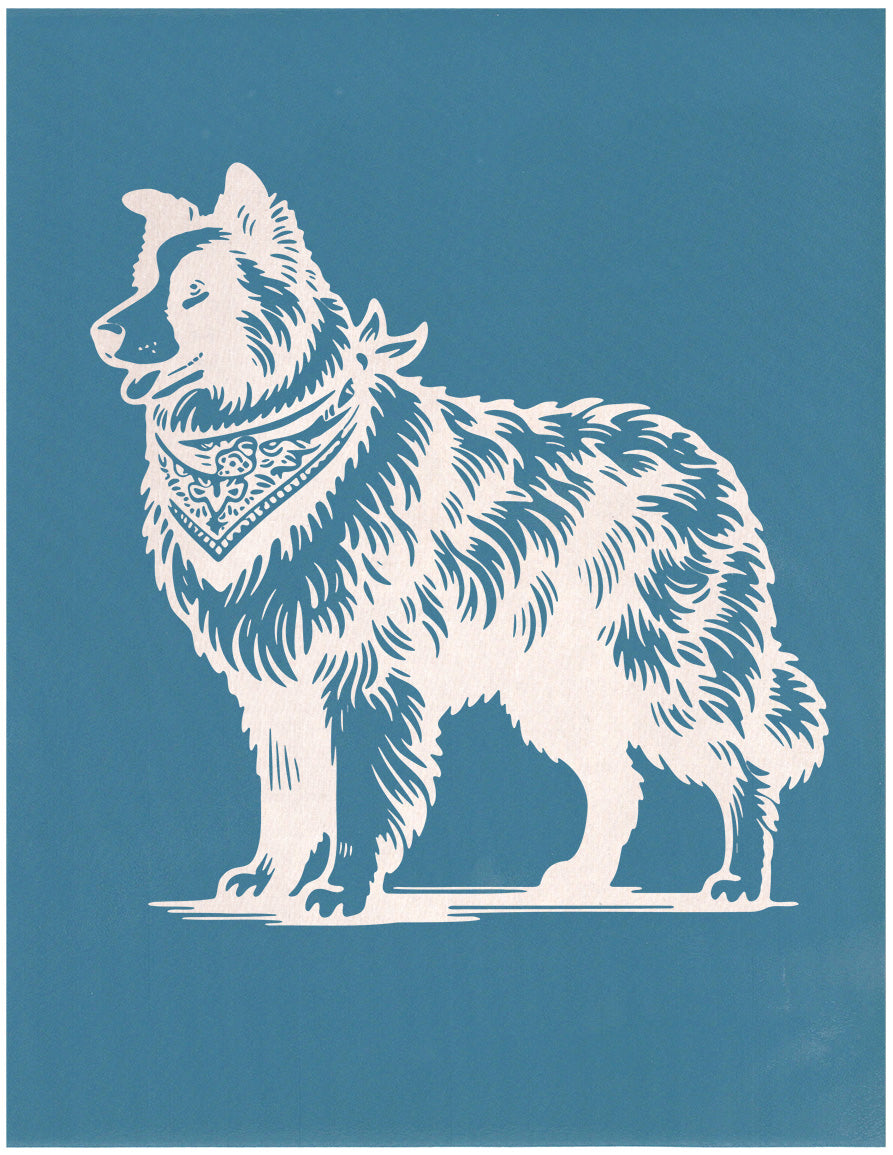 Border Collie with a Handkerchief, Various Sizes + Digital Download