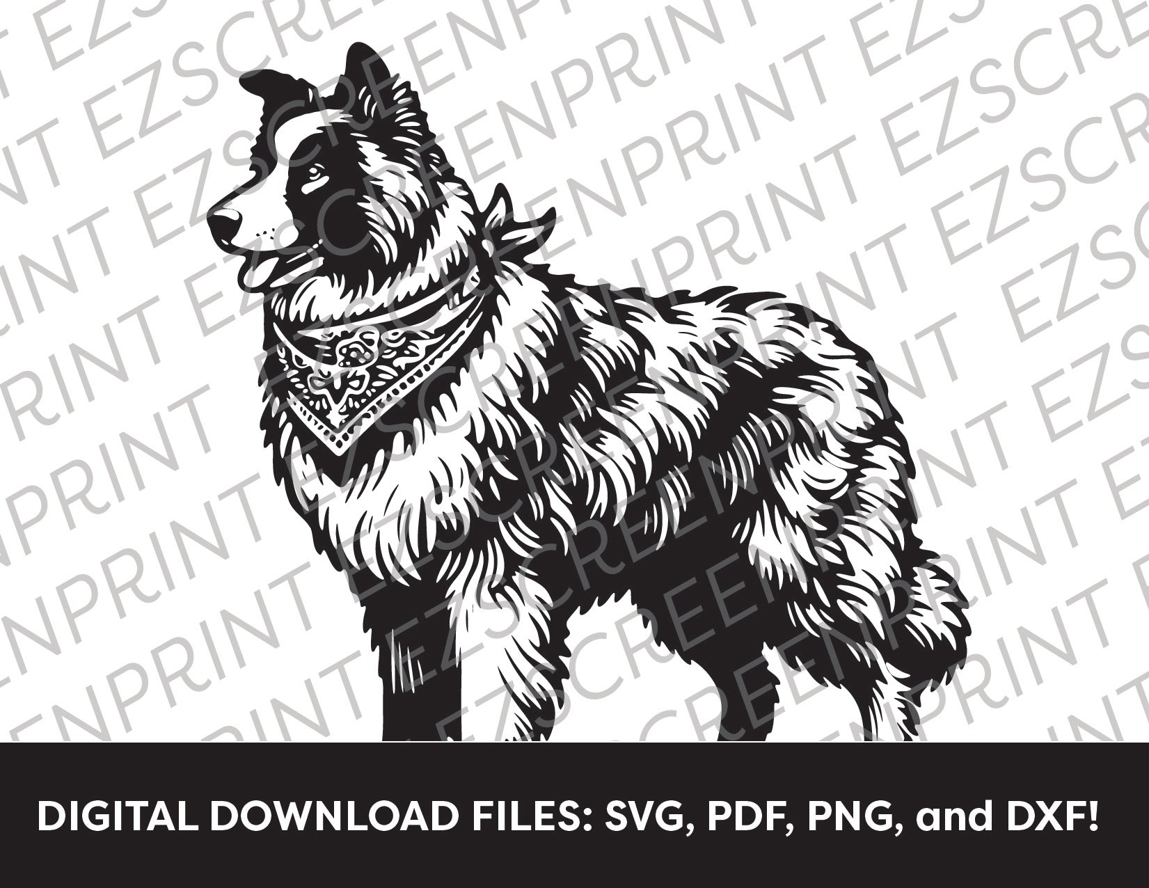 Border Collie with a Handkerchief, Various Sizes + Digital Download