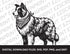 Border Collie with a Handkerchief, Various Sizes + Digital Download