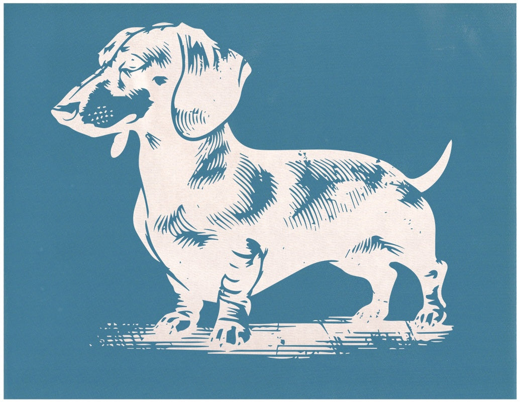 Dachshund, Various Sizes + Digital Download