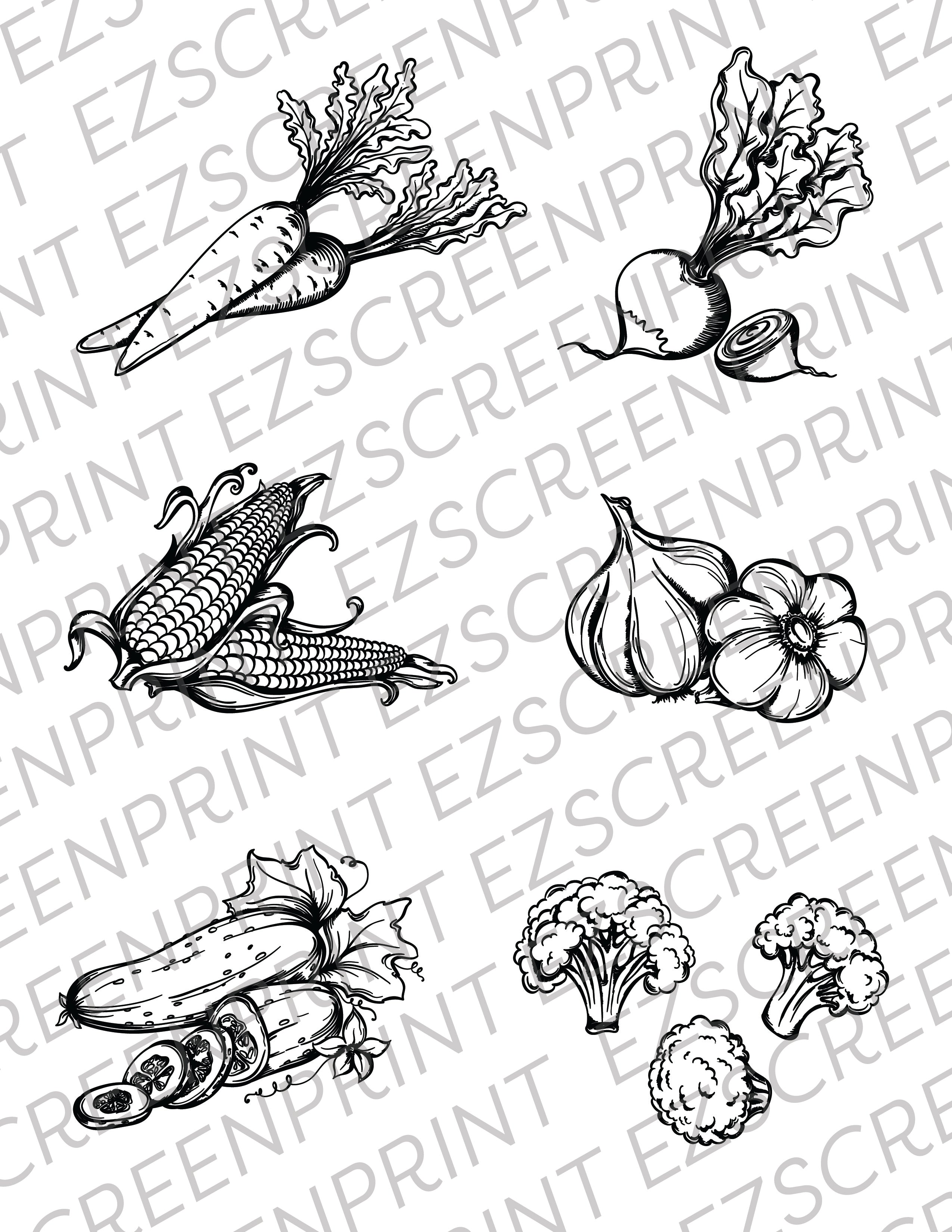 Illustrative Vegetables 1, 8.5"x11"