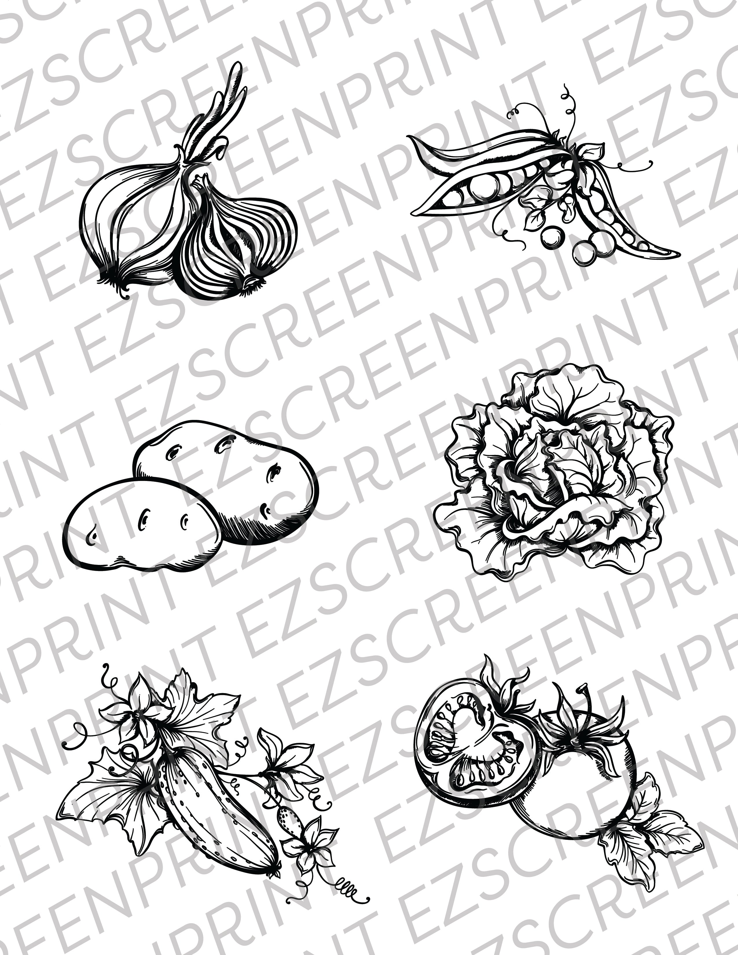 Illustrative Vegetables 2, 8.5"x11"