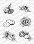 Illustrative Vegetables 2, 8.5"x11"
