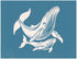 Humpback Whale Mother and Baby, Various Sizes + Digital Download