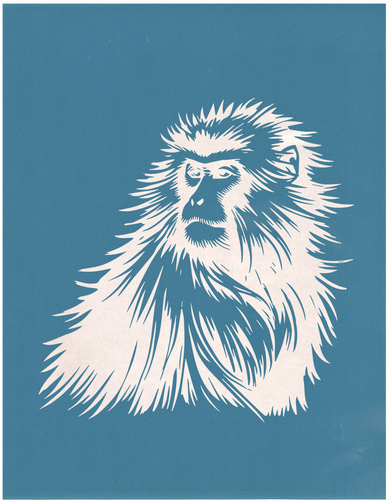 Japanese Macaque, Various Sizes + Digital Download