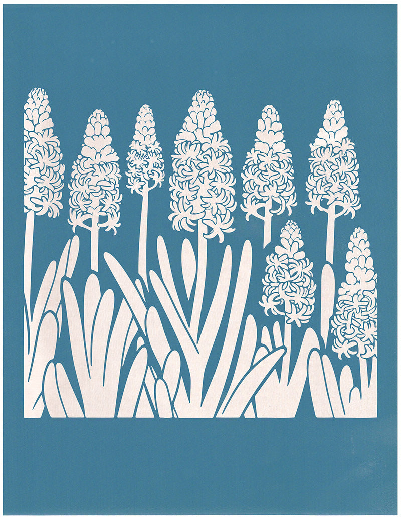 Hyacinths, Various Sizes + Digital Download