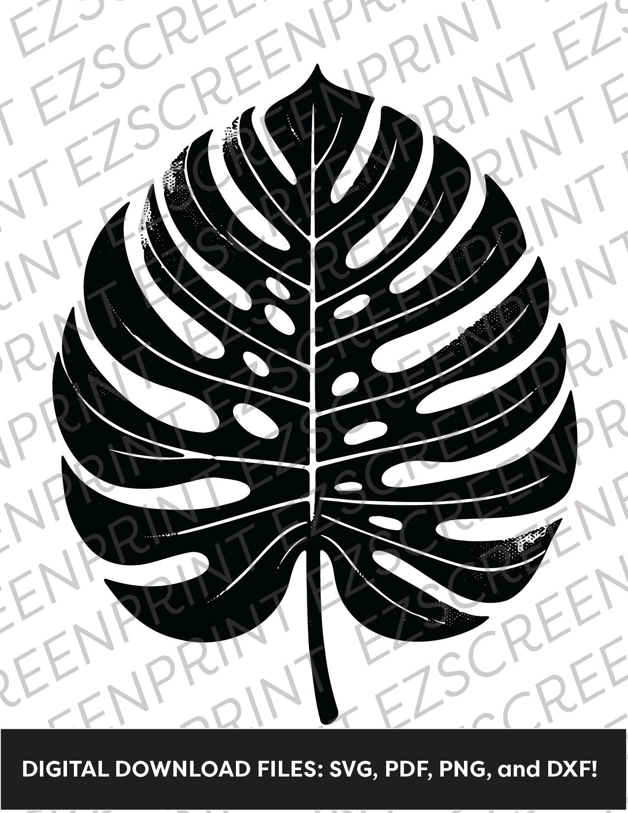 Monstera Leaf, Various Sizes + Digital Download