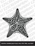 Patterned Star Fish, Various Sizes + Digital Download