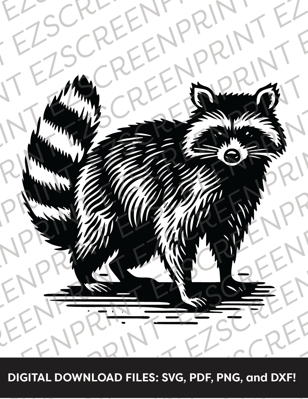 Raccoon, Various Sizes + Digital Download