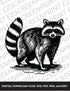 Raccoon, Various Sizes + Digital Download