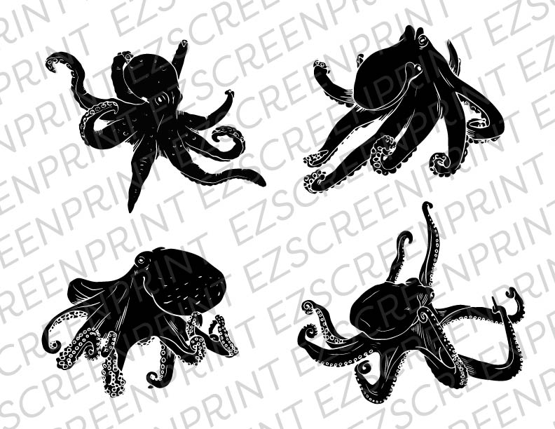Realistic Octopus Pack, 8.5"x11"
