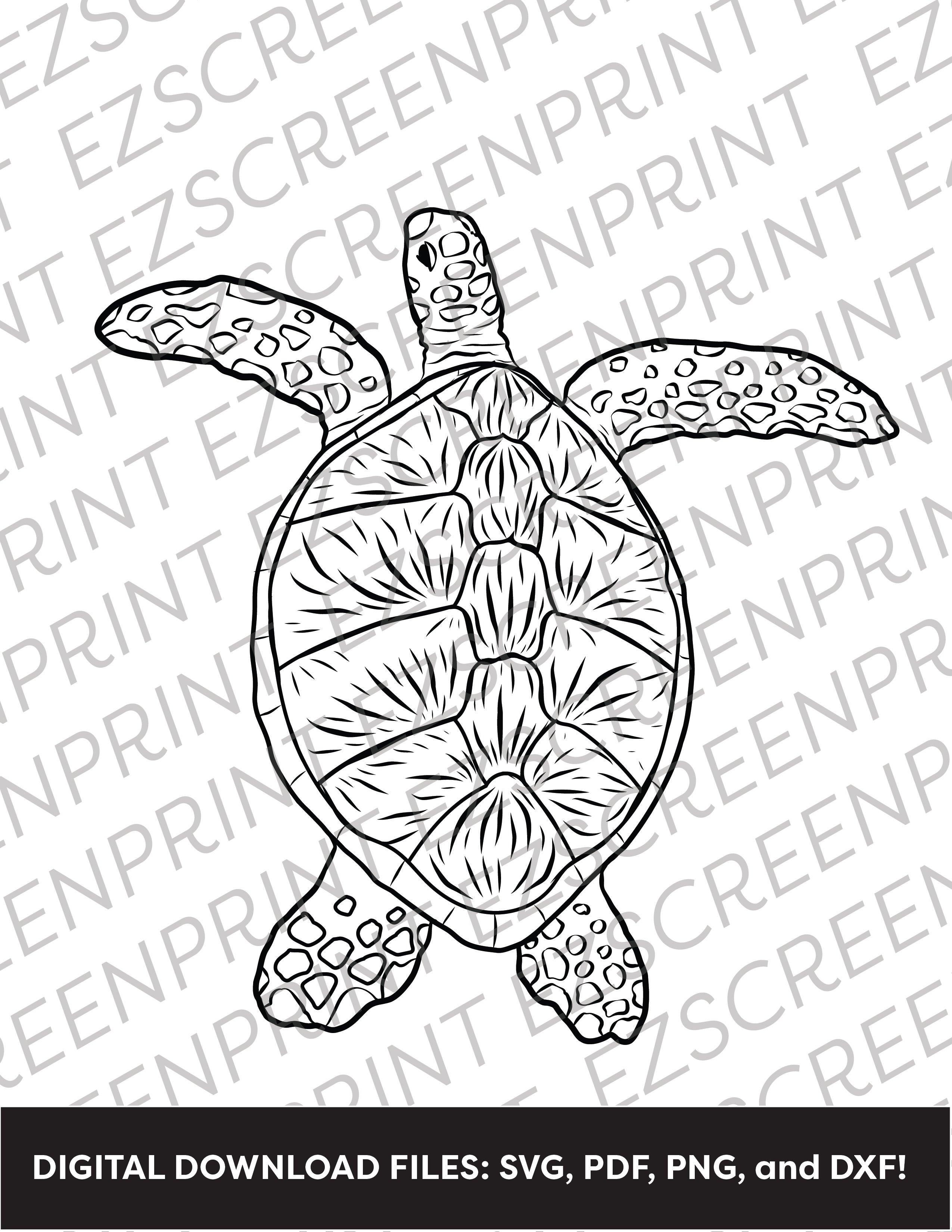 Sea Turtle Line Art, Various Sizes + Digital Download