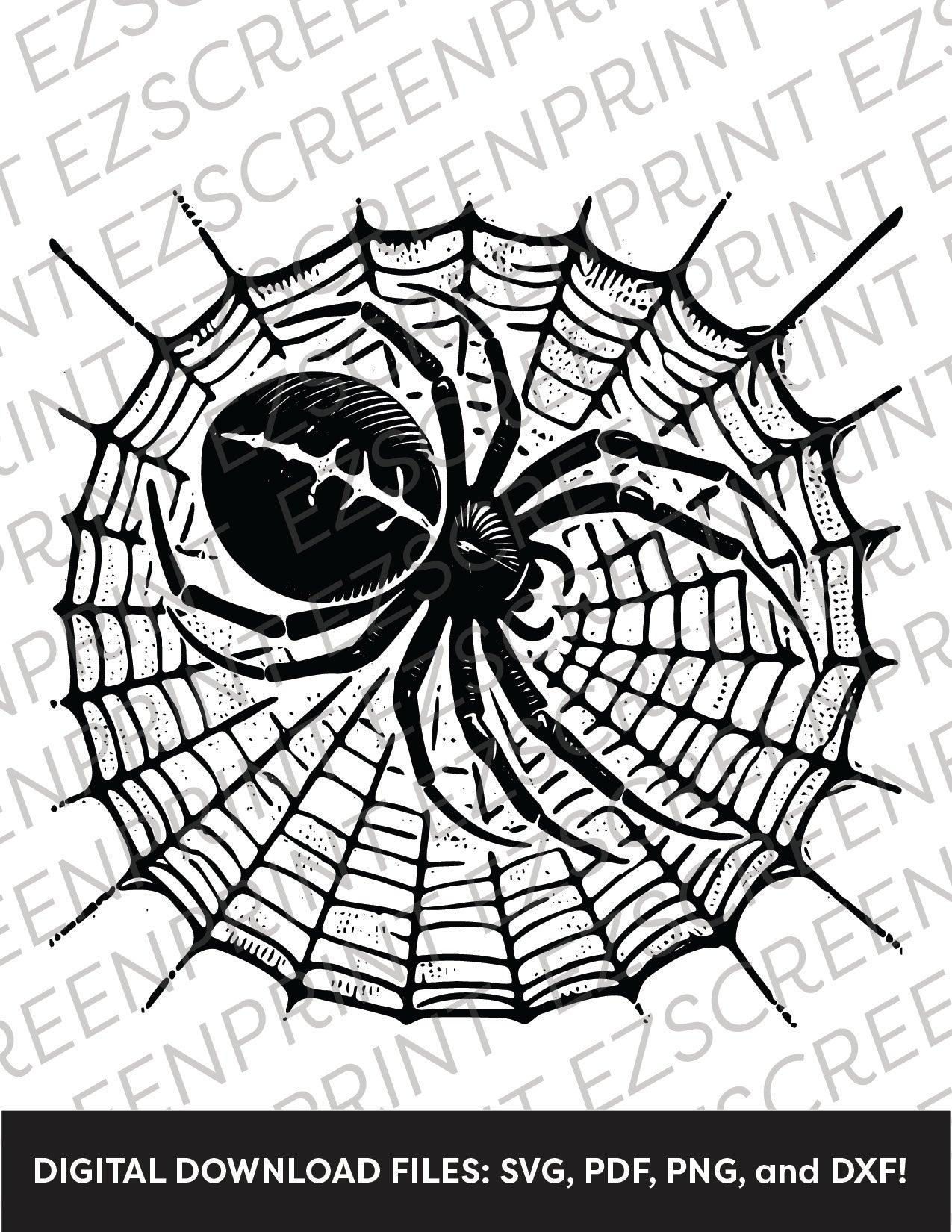 Spider in it's Web, Various Sizes + Digital Download