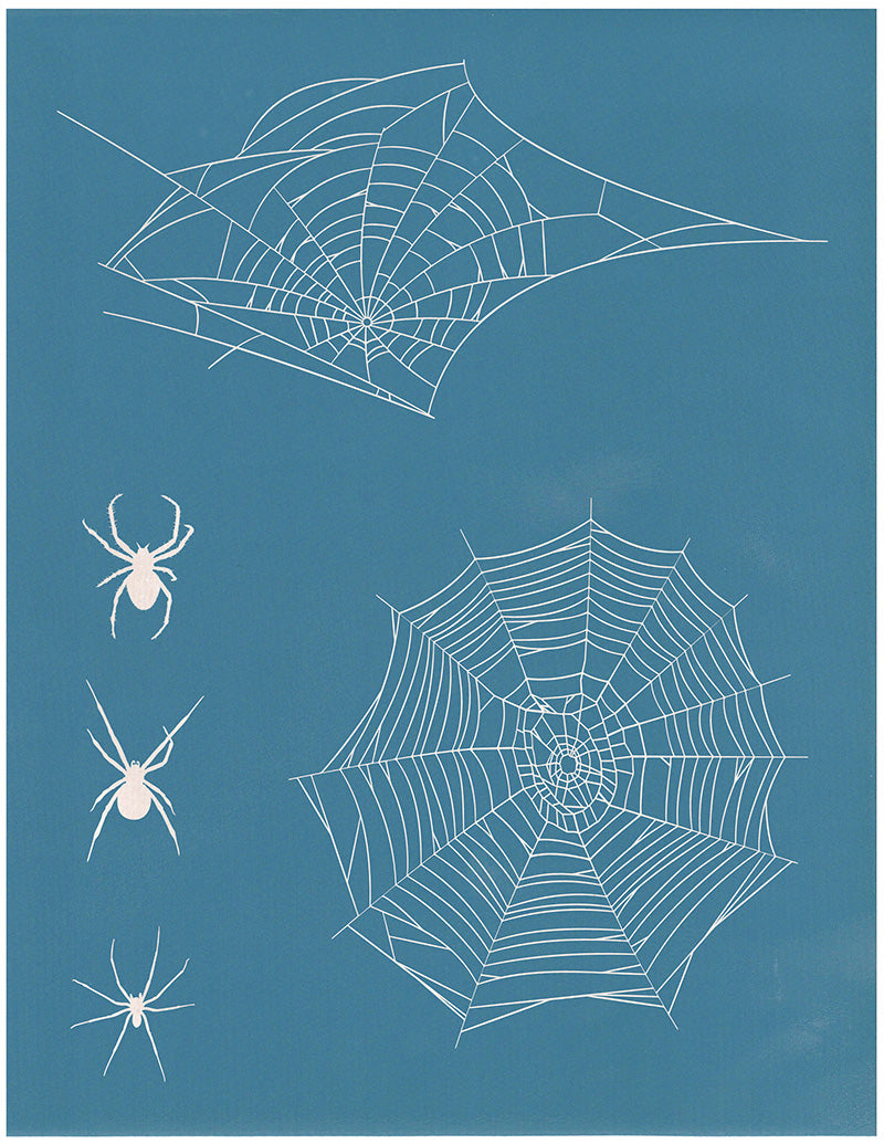 Spiders and Webs, 8.5"x11"