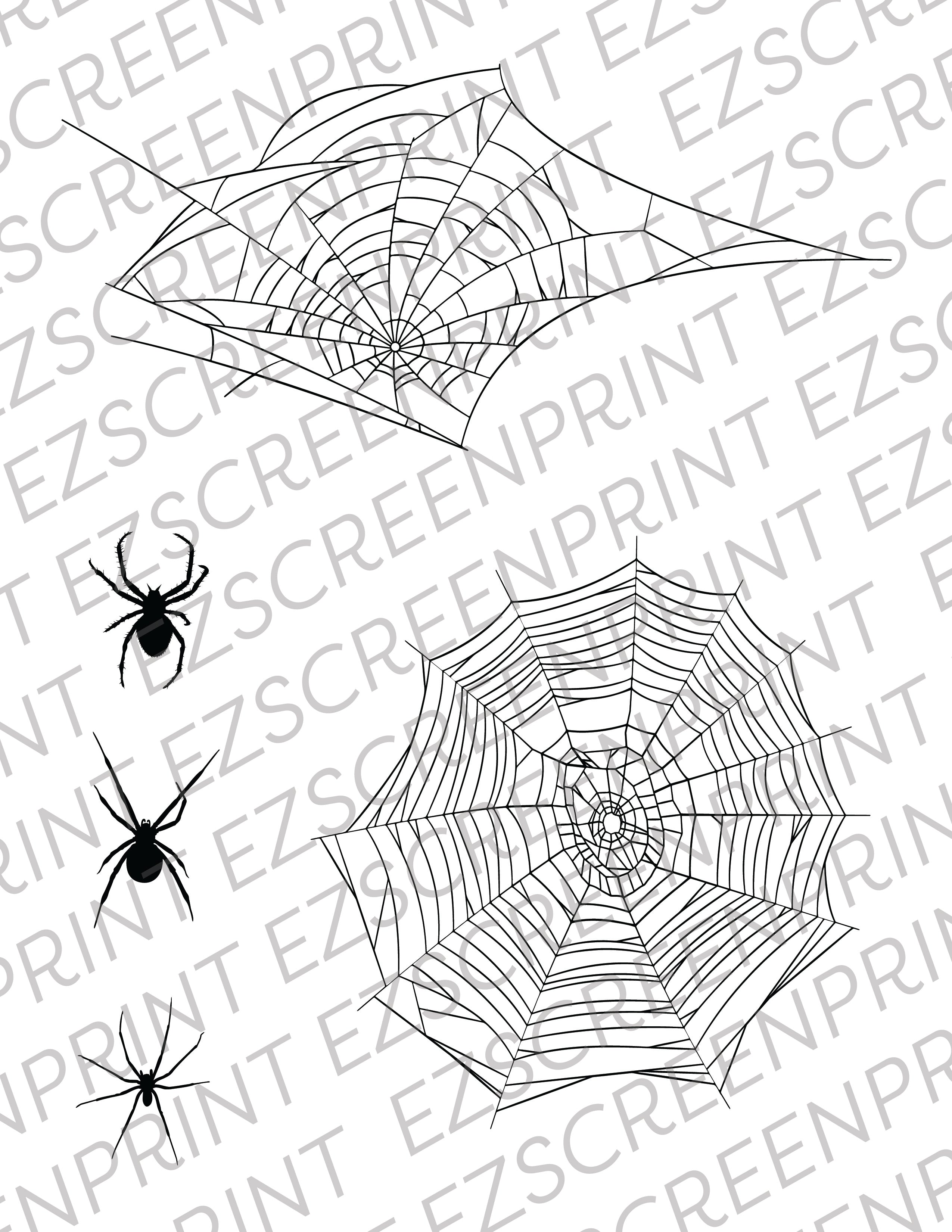 Spiders and Webs, 8.5"x11"