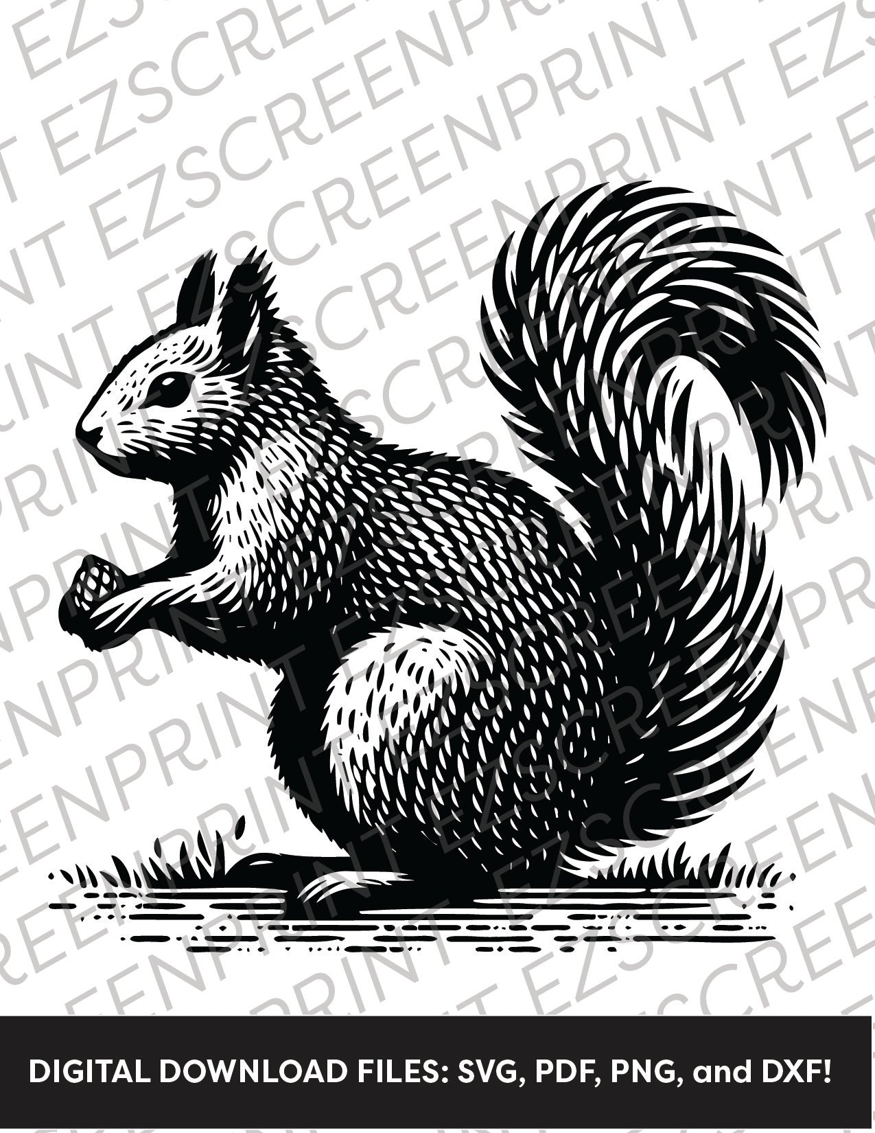 Squirrel with a Pinecone, Various Sizes + Digital Download