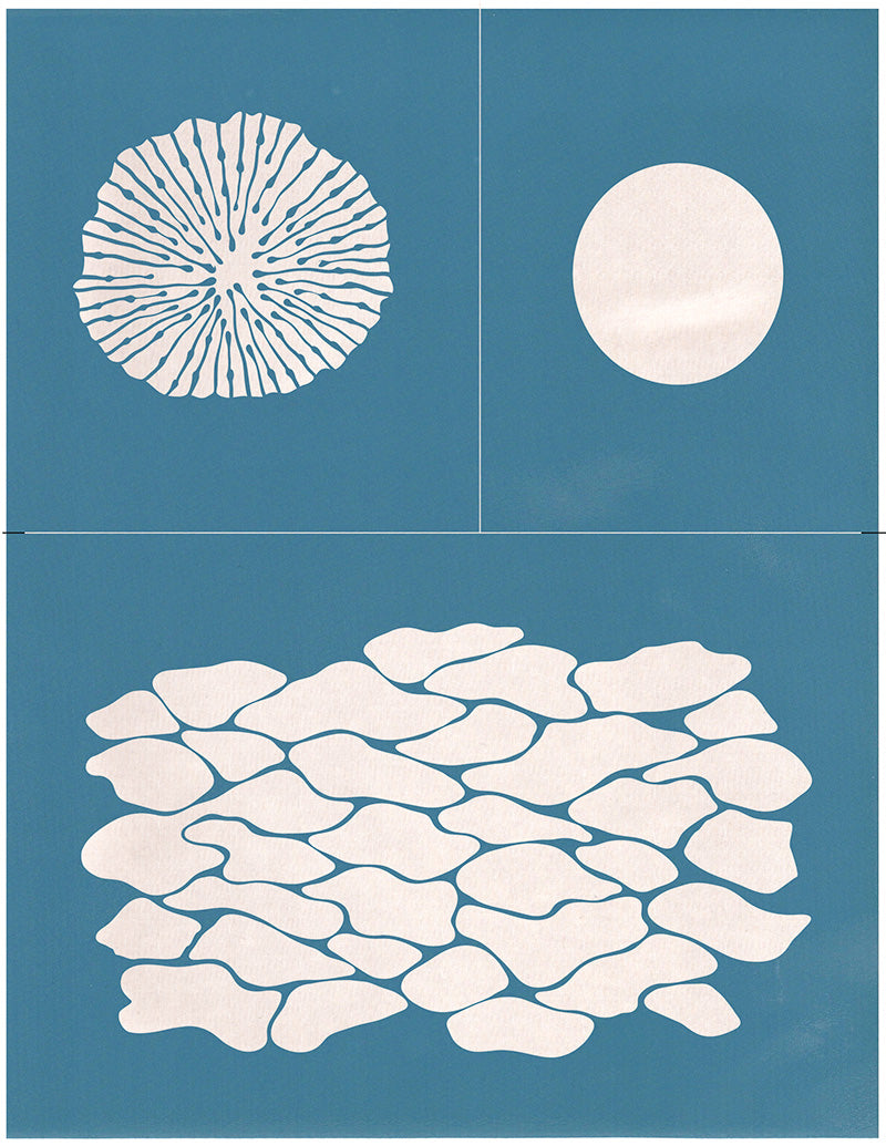 Starfish Multi-layer Stencil Set