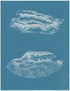 Wave Pack 2, 8.5"x11"