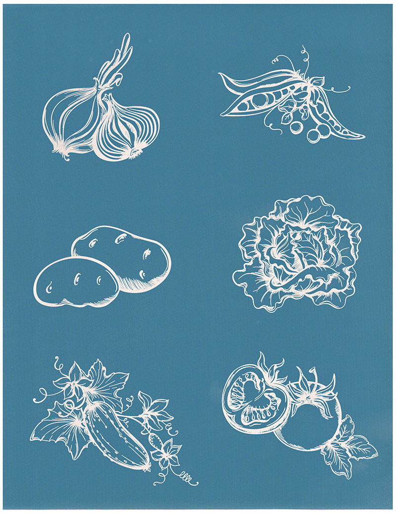 Illustrative Vegetables 2, 8.5"x11"