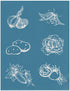 Illustrative Vegetables 2, 8.5"x11"
