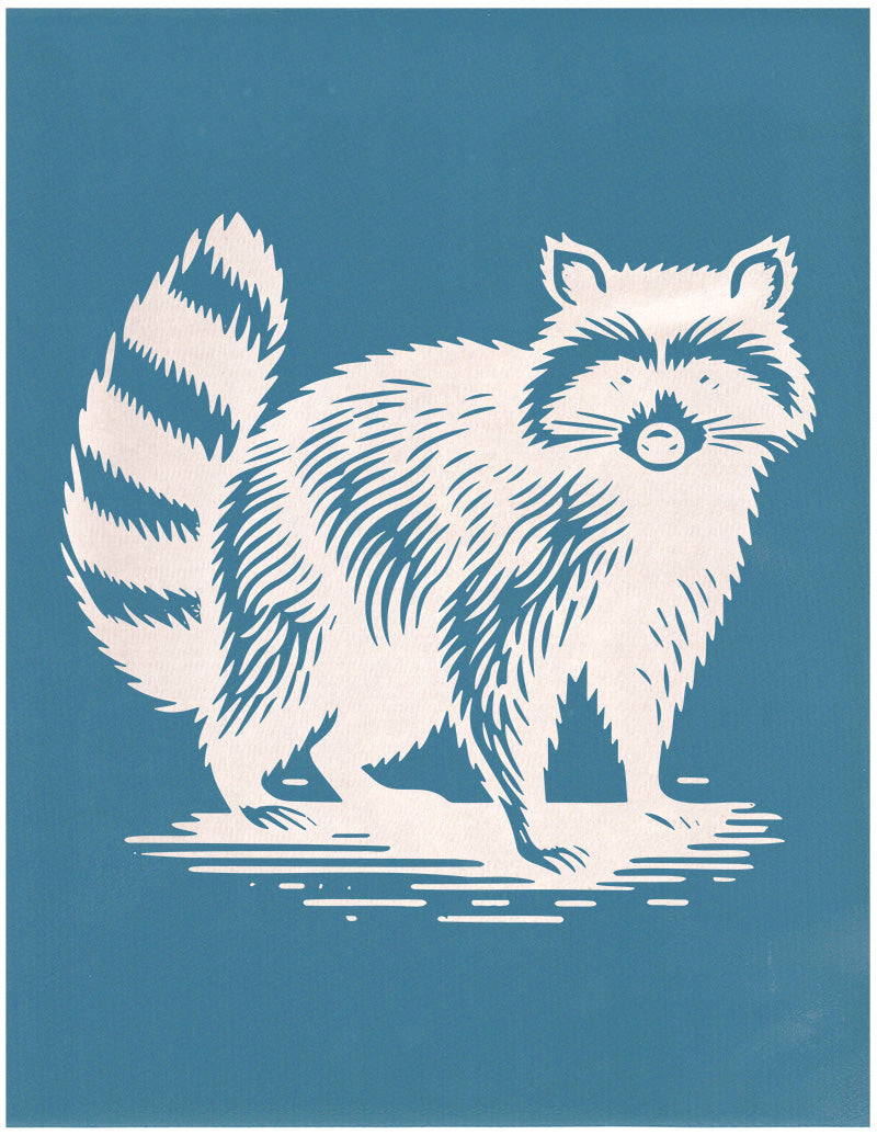 Raccoon, Various Sizes + Digital Download