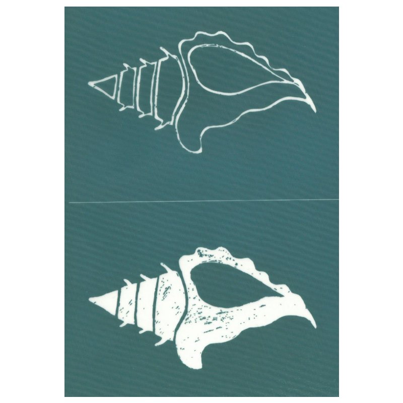 DIY Designer Screen Print Stencil, Horse Conch Shell