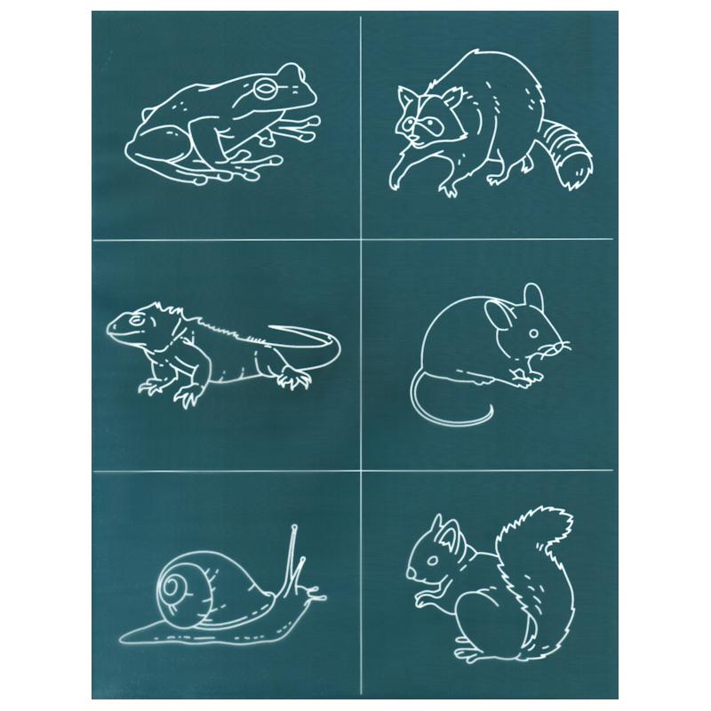 DIY Ceramic Silk Screen Print Stencil, Small Critters Animals Design