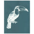 Designer Silk Screen Print Stencil, Tropical Bird Toucan