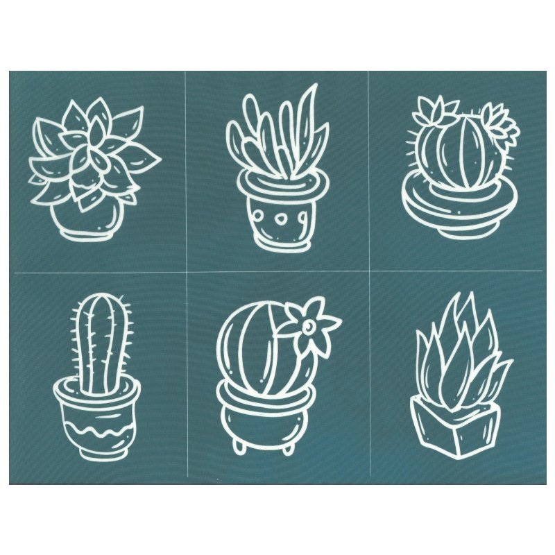 DIY Screen Printing At Home Silk Screen Stencil Potted Cactus Succulent