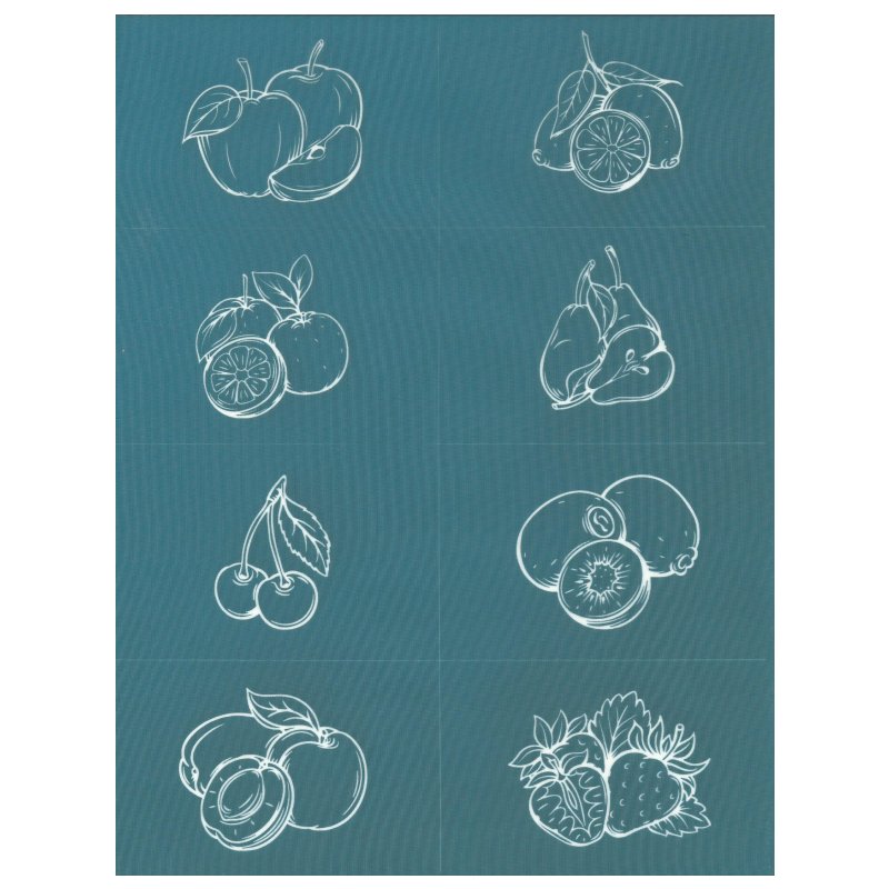 Fruit Slices Ceramic Silk screen printing stencil design