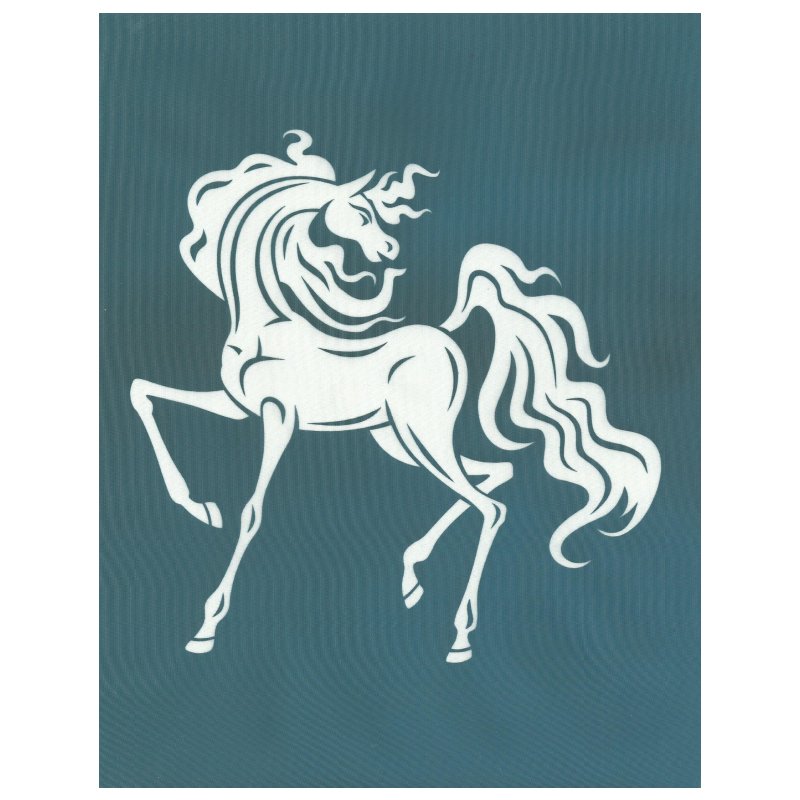 Silk Screen Printing Horse Stallion Stencil